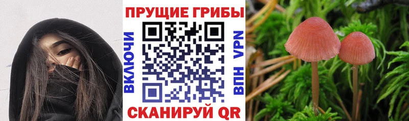 OMG сайт  Лихославль  Галлюциногенные грибы мухоморы  закладка 