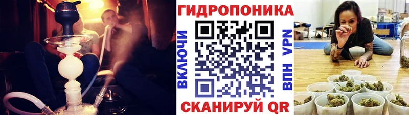 закладки  omg как войти  Бошки Шишки Amnesia  Лихославль 
